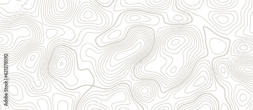 Panorama view gradient multicolor wave curve lines banner background design. Vector illustration. Line topography map contour background .Abstract Topographic map background with wave line.