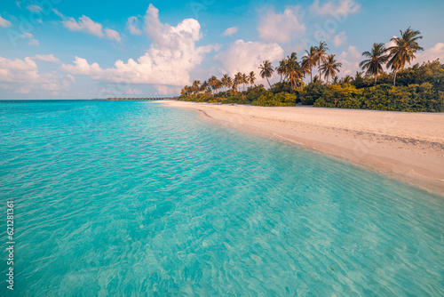 Fototapeta Naklejka Na Ścianę i Meble -  Amazing tropical island. Closeup sea sand waves palm trees. Sunny landscape beach panorama. Beautiful coast travel. Summer exotic relaxing best beach, tourism destination places. Colorful nature scene