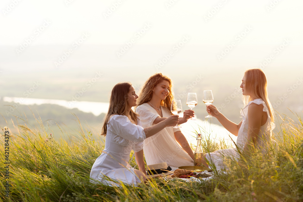 Girlfriends had fun spending time together at summer picnic. Three women friends communicate at a picnic in the summer in the park.