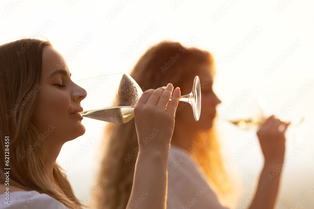 Summer picnic at sunset. Young women drinking the wine. Weekend picnic.