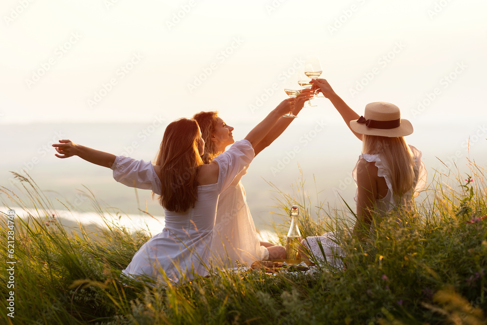 The company of female friends enjoys a summer picnic and raise glasses with wine. Happy women in the park in evening sunlight. The lights of a sun.