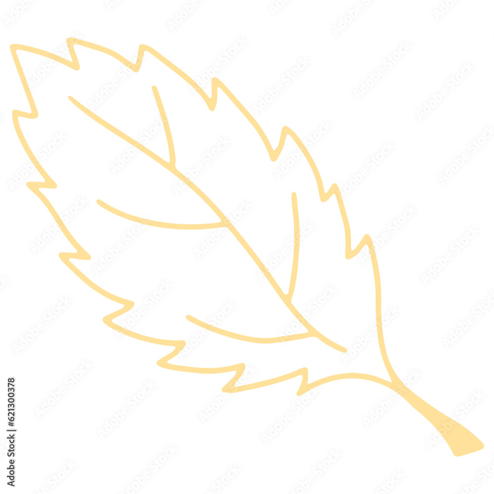 Colorful Vector Leaf Illustration on White Background. Leaf Image in Line Art Style.