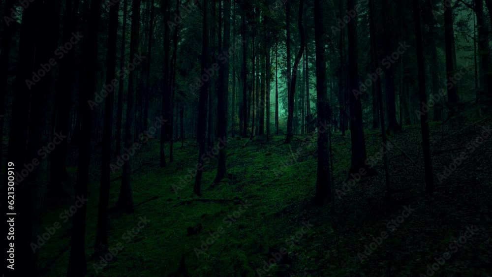 Slow movement in dark green scary forest landscape.