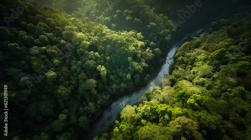 Bird's eye view of a dense tropical rainforest, vivid greens, a river winding through it, high contrast
