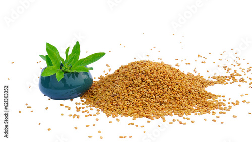 Fenugreek seeds with fresh plant.Herbal medicine.Trigonella,fenugreek plants