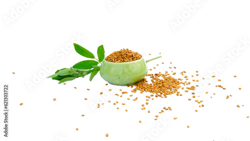 Fenugreek leaves with seeds over white background. Fenugreek seed with sprout. Trigonella foenum graecum. photo