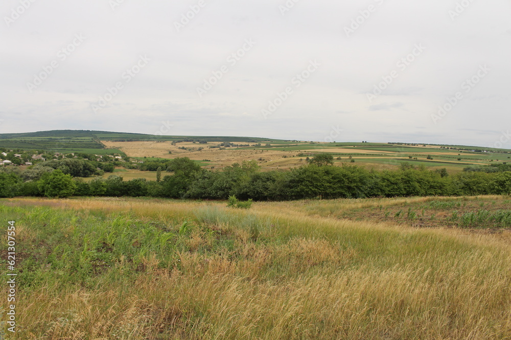 A field of grass and trees with Konza Prairie Natural Area in the background
