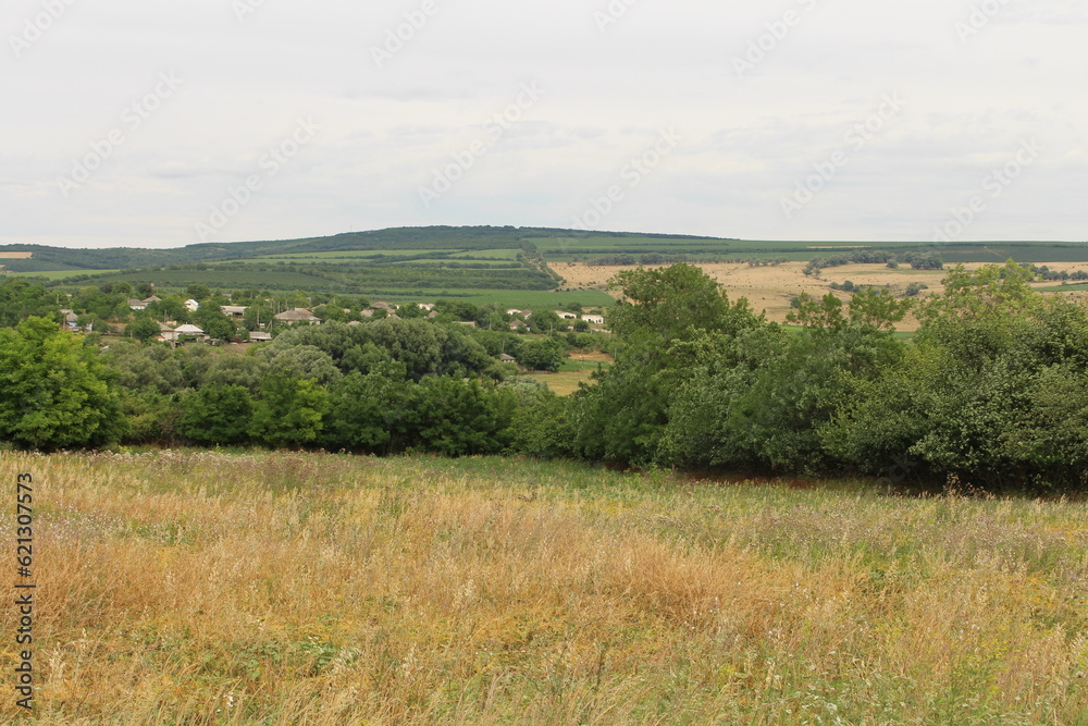 A field with trees and a hill in the background with Konza Prairie Natural Area in the background