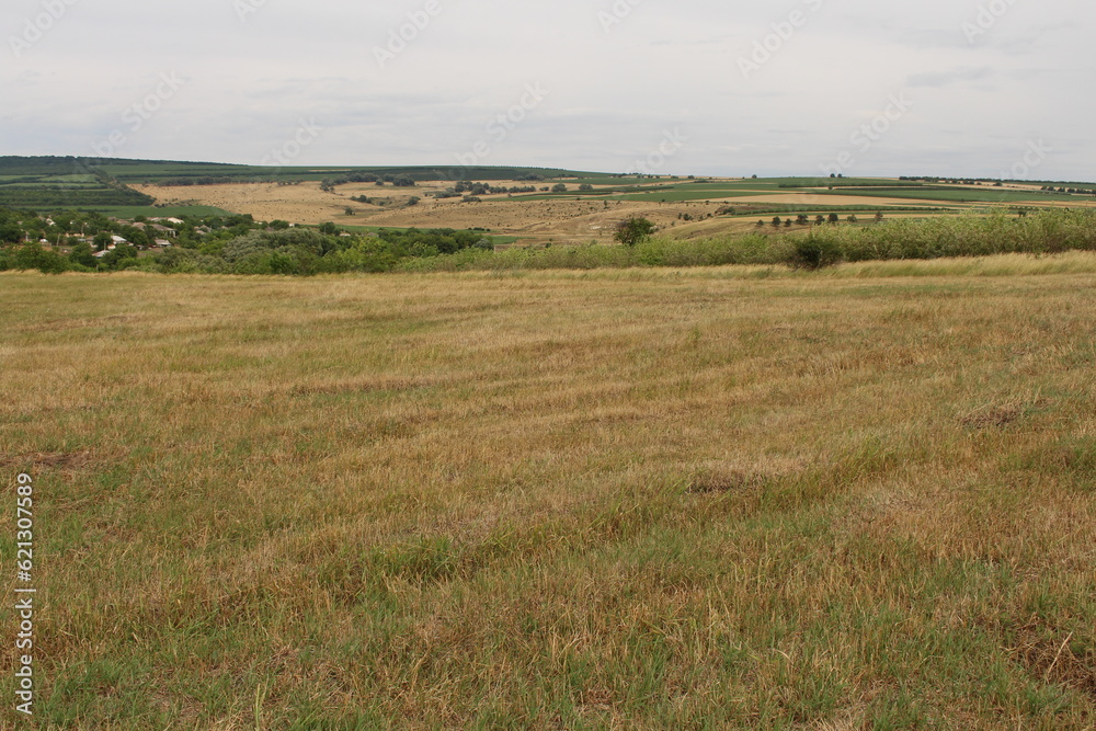 A field of grass with trees and bushes with Konza Prairie Natural Area in the background