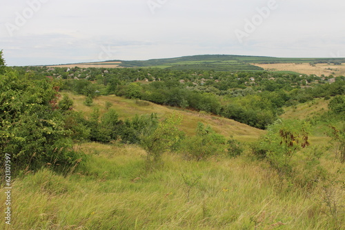 A green field with trees and hills
