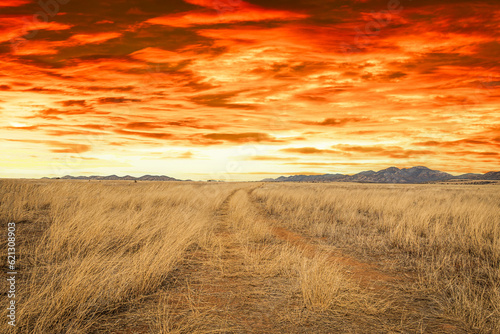 A dirt road leading off into the distance to mountains on the horizon at sunset.