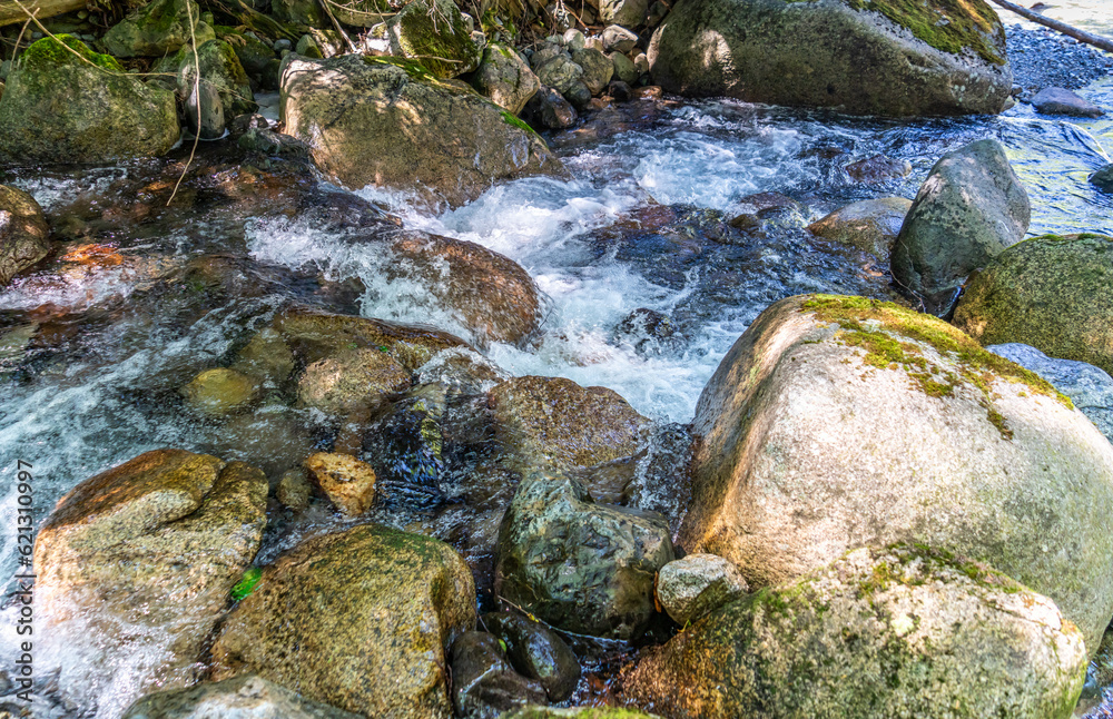 Rocky Mountain Stream Details 5 Rocky Mountain Stream Details 5