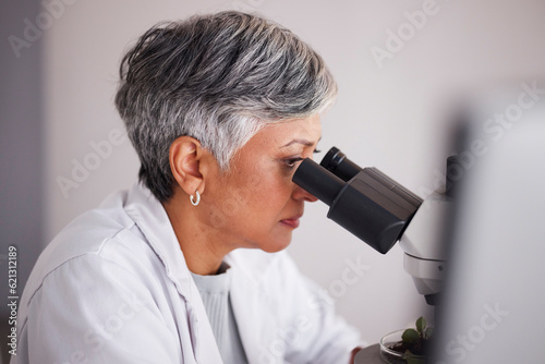 Senior scientist, woman and microscope, analysis of data and medical research, profile and experiment. DNA sample, assessment and investigation with female doctor in lab, science study and biotech