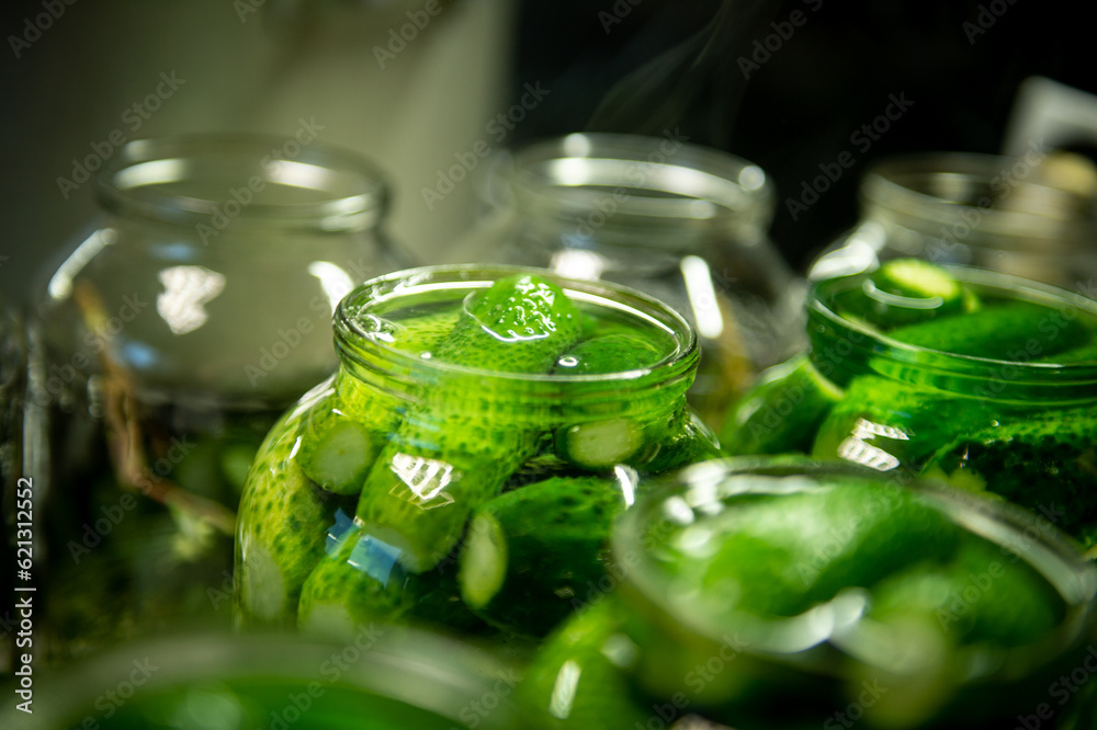The process of pickling cucumbers. Pickled cucumbers. Homemade pickles. Salted cucumbers.