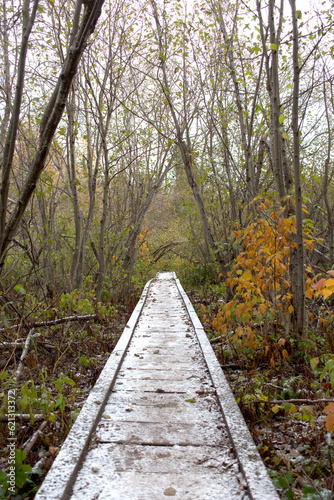 Snowy Trail © Joe