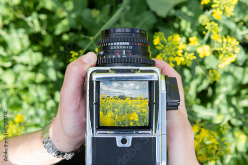 Person taking a photo of a rape field with an old viewfinder camera.