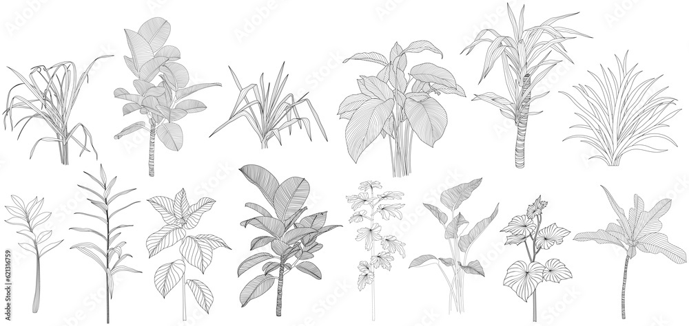 Leaves isolated on white collection. Tropical leaves set. Hand drawn abstract illustration. Leaves isolated on white collection. Tropical leaves set. Hand drawn abstract illustration.