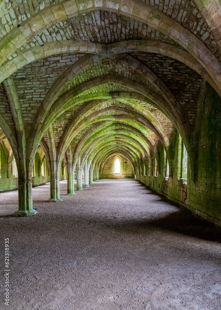 Detail of the cellareum vaulted ceiling of Fountains Abbey in Yorkshire, United Kingdom Detail of the cellareum vaulted ceiling of Fountains Abbey in Yorkshire, United Kingdom