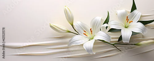 Panel kuchenny z motywem white lily close up on a light blue background