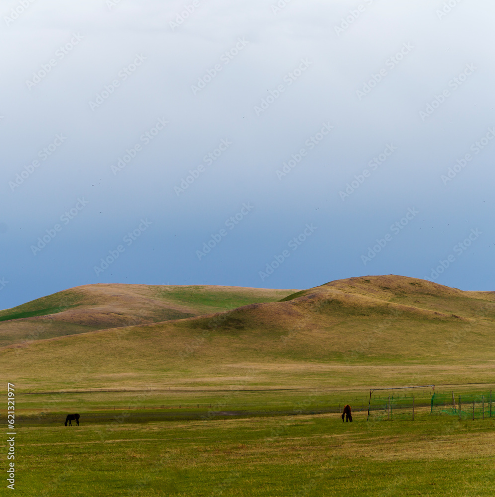 landscape with hills and sky。  horses in the meadow. panoramic view of the Inner Mongolia grassland