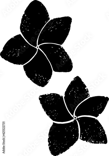 Plumeria stylized exotic flower. Hand-drawn illustration in linocut style. Black vector element for design