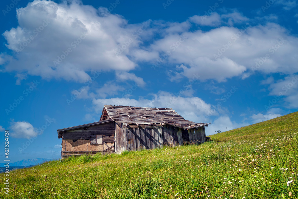 Abandoned wooden mountain hut on green pasture