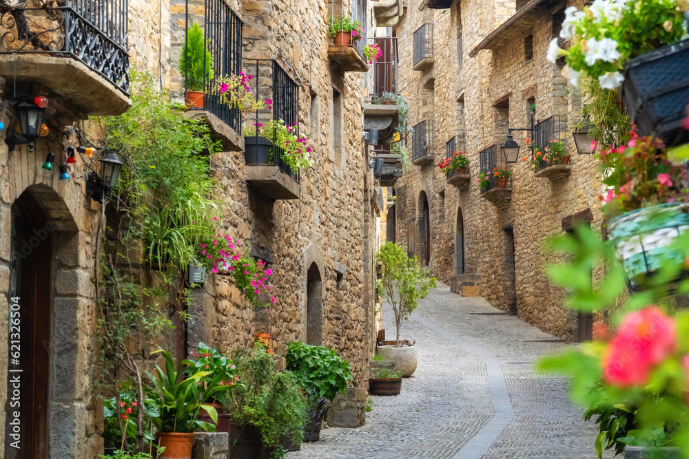 Medieval street in the beautiful Ainsa town, Huesca (Aragón-Spain)