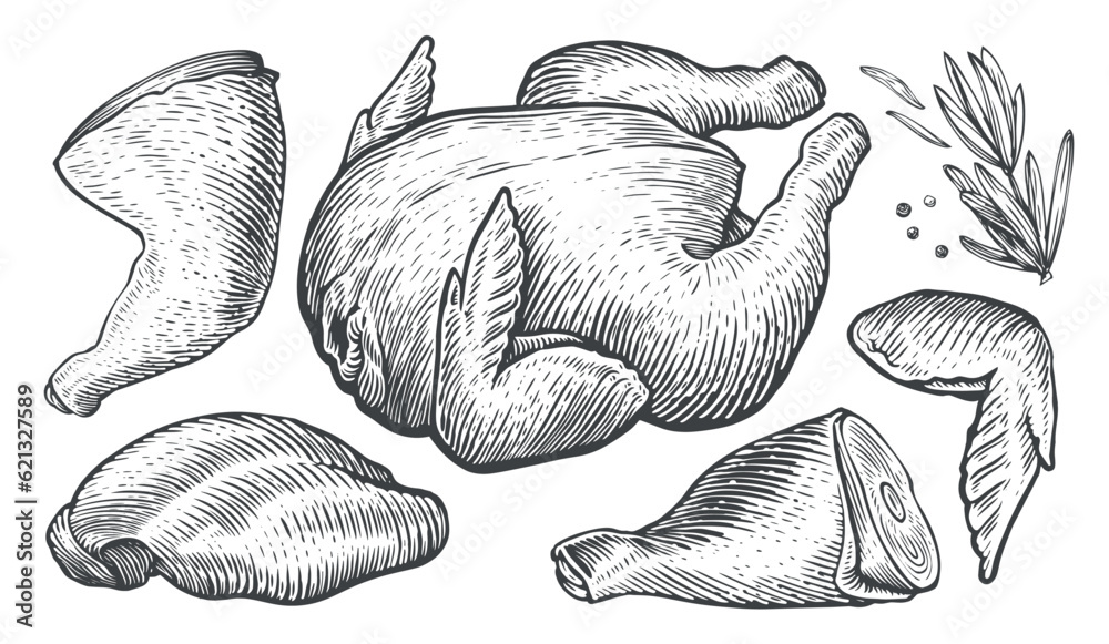 Cooked chicken hand drawn sketch icon Royalty Free Vector