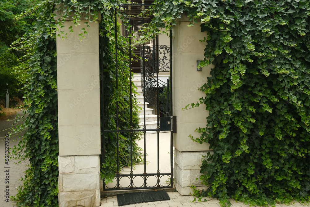 Entrance to the homestead. A beautiful gate made of iron bars overgrown with ivy. Entrance to the homestead. A beautiful gate made of iron bars overgrown with ivy.
