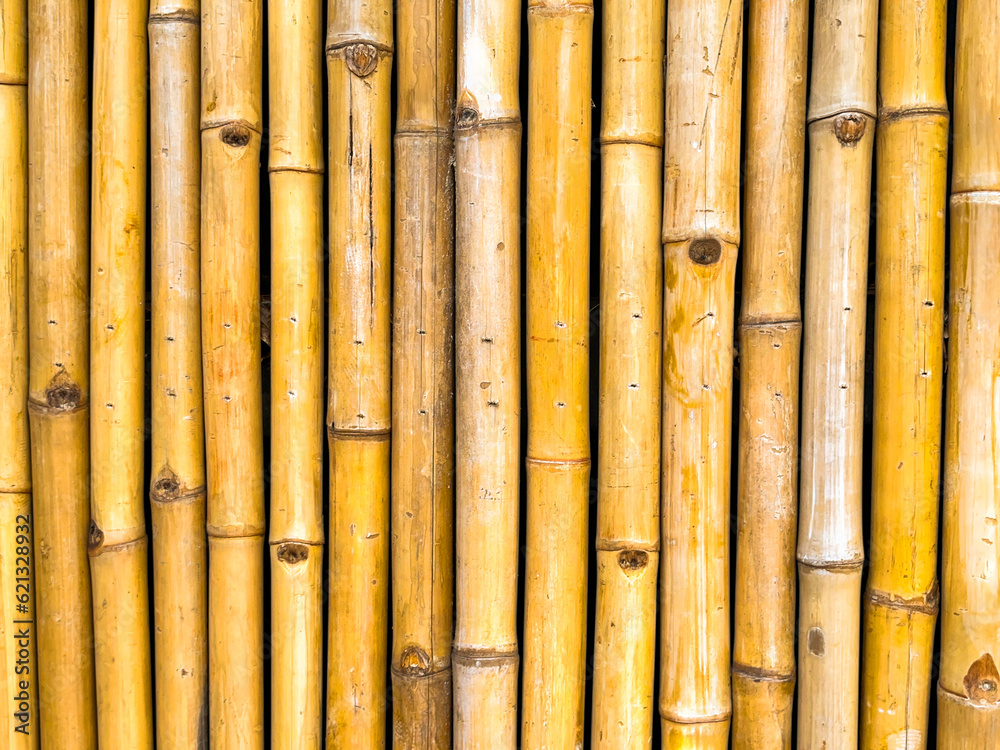 Close up view of bamboo canes side by side. Backgrounds. Close up view of bamboo canes side by side. Backgrounds.
