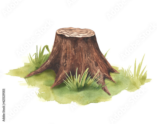 Tree stump with mushrooms and grass background. Watercolor illustration. Forest wildlife nature scene. Hand drawn mossy stump with wild mushrooms and green grass