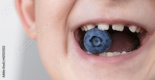 Close-up of a child's teeth with a blueberry.Copy space for text,banner.