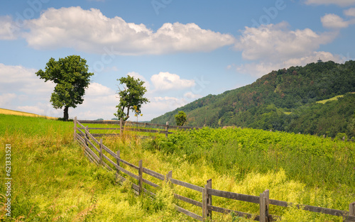 summer landscape burgenland