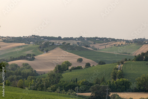 Marche Region Countryside with grainfields