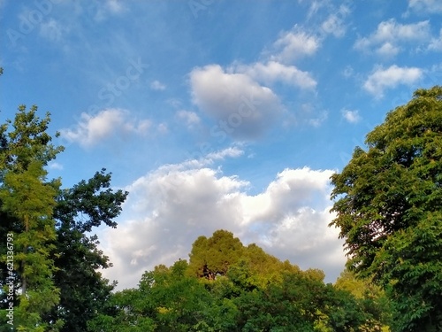 Cielo azul de primavera con varias nubles blancas y copas de árboles de distintos colores de verdes, obscuro, amarillento en esquinas y borde