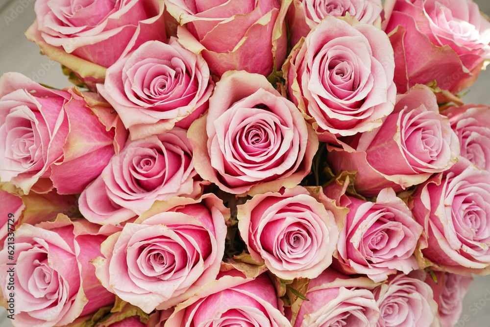 Bouquet of pink roses, top view. Beautiful, bright floral background. Close up. Bouquet of pink roses, top view. Beautiful, bright floral background. Close up.