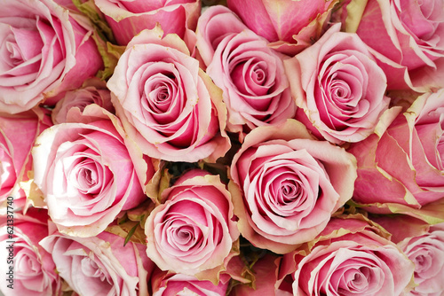 Bouquet of pink roses, top view. Beautiful, bright floral background. Close up.