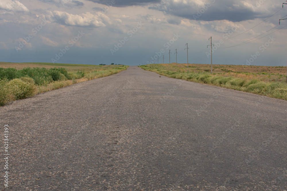 asphalt road in the steppe stretching into the distance