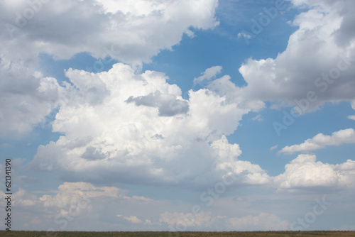 steppe and horizon with blue sky with white fluffy clouds