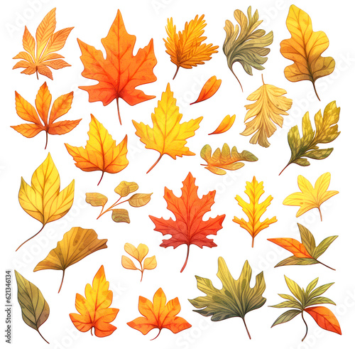 Multicolored autumn tree leaves, collection in watercolor style isolated on white background