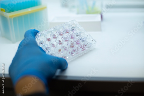 cell culture at the medicine medical and cell culture laboratory bioengineering 
