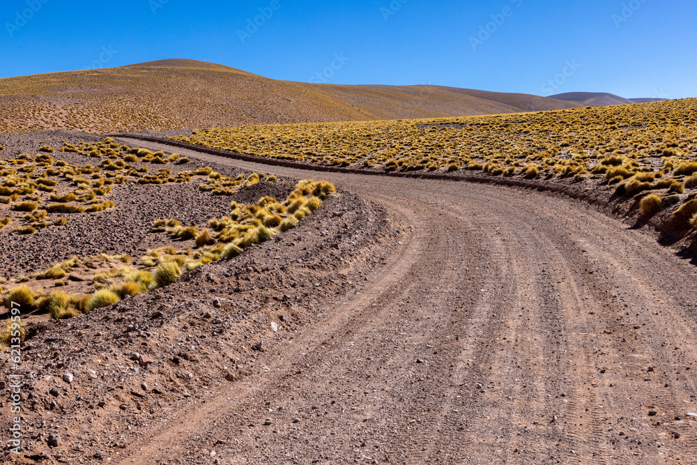 Crossing the Andes from Antofagasta de la Sierra to Antofalla - stunning landscape in the Argentinian highlands called Puna in South America