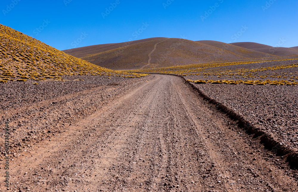 Crossing the Andes from Antofagasta de la Sierra to Antofalla - stunning landscape in the Argentinian highlands called Puna in South America Crossing the Andes from Antofagasta de la Sierra to Antofalla - stunning landscape in the Argentinian highlands called Puna in South America