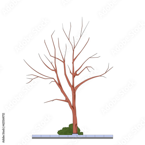 tree without leaves, dry, contour drawing, vector illustration, street tree