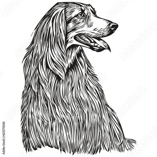 Afghan Hound dog logo vector black and white  vintage cute dog head engraved
