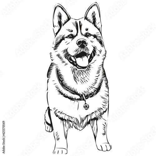 Akita dog silhouette pet character, clip art vector pets drawing black and white sketch drawing