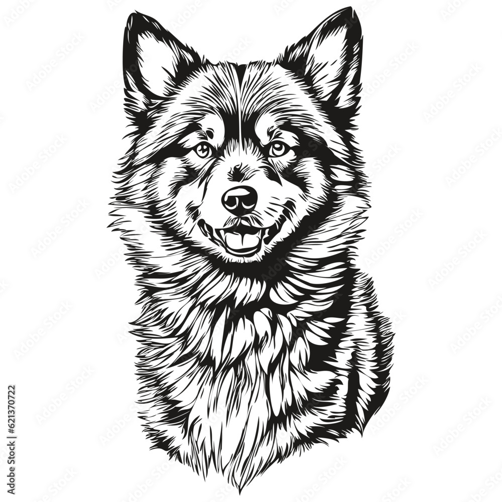 Finnish Lapphund dog vector graphics, hand drawn pencil animal line illustration Finnish Lapphund dog vector graphics, hand drawn pencil animal line illustration