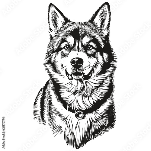 Malamute dog hand drawn logo drawing black and white line art pets illustration