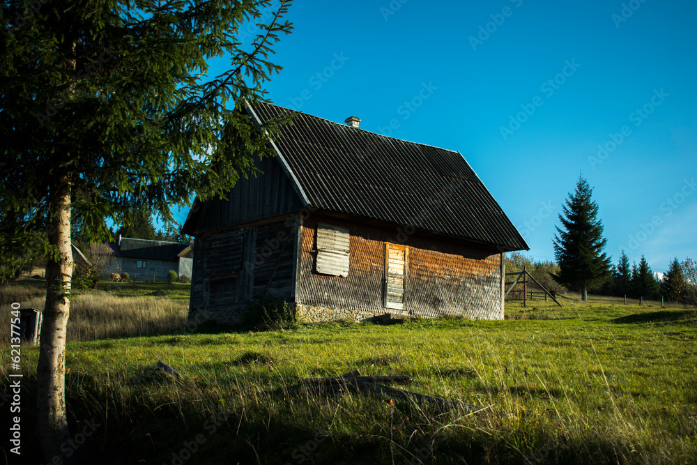 Abandoned house in the trees on the background of the blue sky Abandoned house in the trees on the background of the blue sky