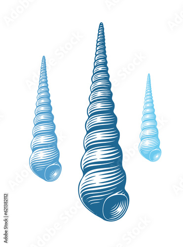 Seashell. Marine life. Editable hand drawn illustration. Vector vintage engraving. Isolated on a white background. 8 EPS